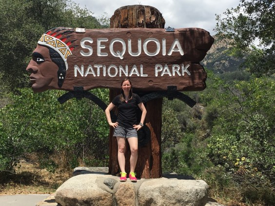 01c69af482e666bf2dfe0ca2978e0d83f4bc0838bc_00001