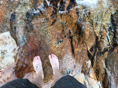 01d04d36a26a807e6c2e776edff0a1f8da35ef35ca_00001