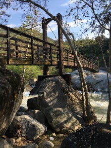 01d5123e16a10fa773a1c497dc47016b442fae769d