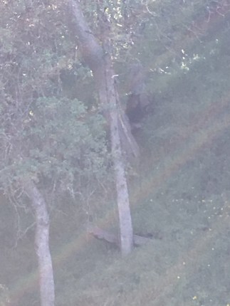 01f4fd86e1f4af0a73698987da573c52dd715f4485_00001